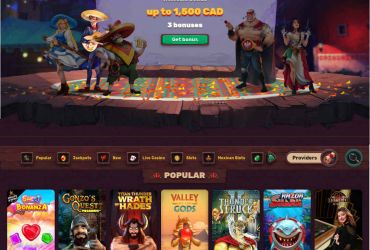 							5Gringos Casino													 picture 58