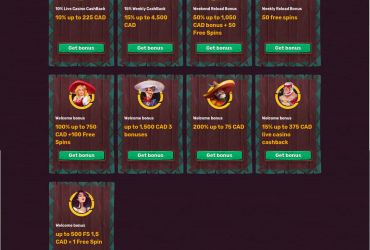 							5Gringos Casino													 picture 59