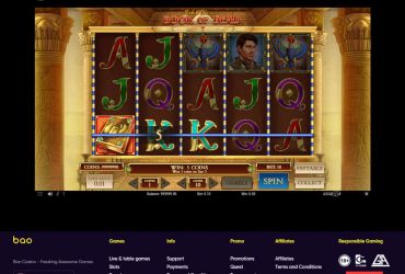 							Revisão do cassino Bao													 picture 63