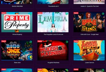 							Betzest Casino													 picture 50