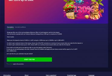 							Bongo.gg Casino													 picture 82