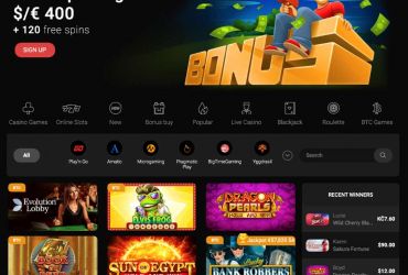 							Revisão do cassino Betchan													 picture 36