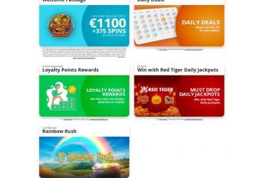 							Casigo Casino													 picture 72