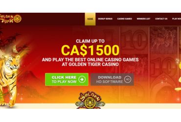 							Casino do Tigre Golden													 picture 21