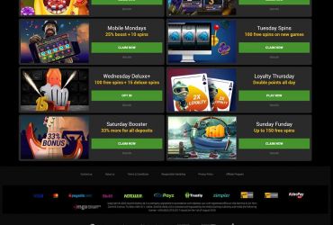 							Revisão do Gowild Casino													 picture 61