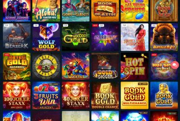 							Megaslot Casino													 picture 63