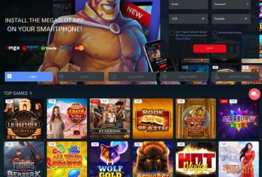 							Megaslot Casino													 picture 61