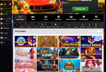 							Revisão do Playamo Casino													 picture 84