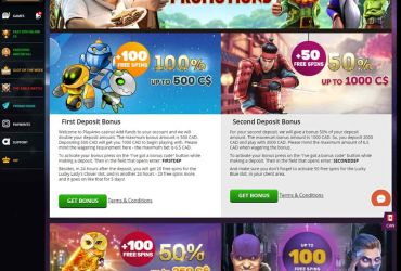 							Revisão do Playamo Casino													 picture 83