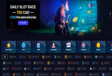 							Revisão do cassino woo													 picture 79