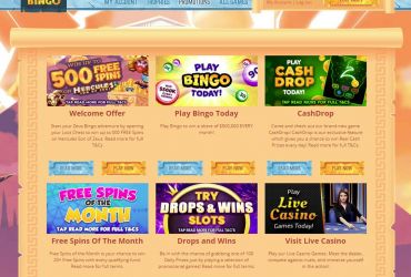 							Zeus Bingo Casino													 picture 38