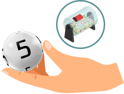 				Como jogar bingo							 picture 7